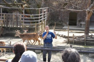 イベント「アニマルトーク」のサムネイル画像