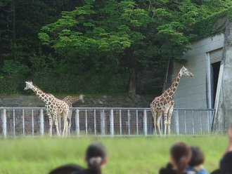 イベント「ハートフルナイト2025」のサムネイル画像