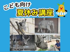 イベント「こども向け夏休み講座」のサムネイル画像