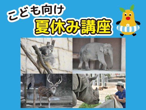 イベント「こども向け夏休み講座」の画像3