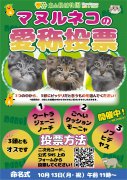 イベント「マヌルネコの仔３頭の愛称投票」のサムネイル画像