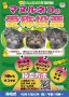 マヌルネコの仔３頭の愛称投票