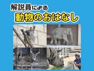 イベント「解説員による動物のおはなし」のサムネイル画像