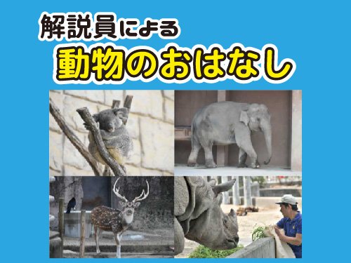 イベント「解説員による動物のおはなし」の画像3