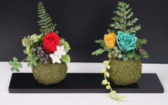 イベント「プリザーブドフラワーで作るミニ苔玉」のサムネイル画像