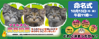 イベント「マヌルネコの仔３頭の命名式」のサムネイル画像