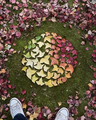 イベント「落ち葉アートギャラリー」の画像3