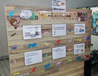 イベント「やせいネコクイズ」のサムネイル画像