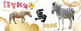 イベント「ひがしやまのお正月」のサムネイル画像