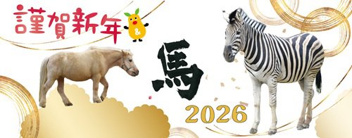 イベント「ひがしやまのお正月」の画像3