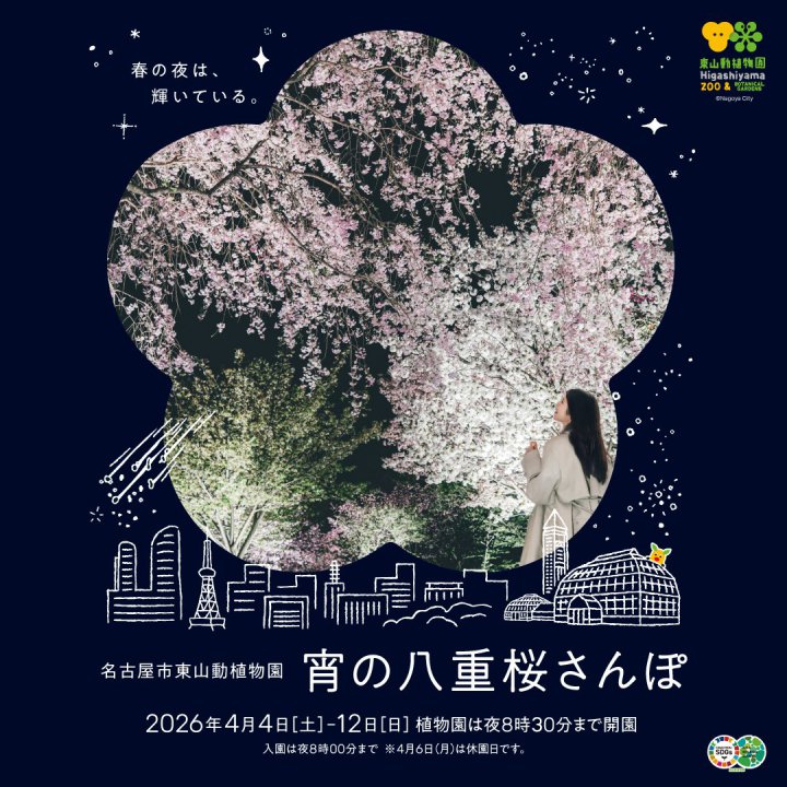 イベント「宵の八重桜さんぽ２０２６」の画像3