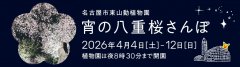 イベント「宵の八重桜さんぽ２０２６」のサムネイル画像