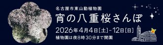 イベント「宵の八重桜さんぽ２０２６」のサムネイル画像