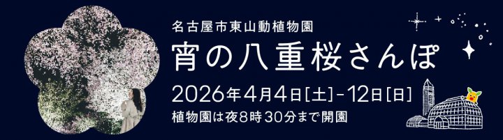 イベント「宵の八重桜さんぽ２０２６」の画像3