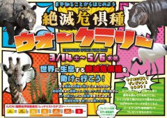イベント「絶滅危惧種ウォークラリー」のサムネイル画像