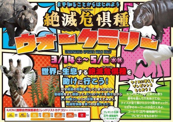 イベント「絶滅危惧種ウォークラリー」の画像3