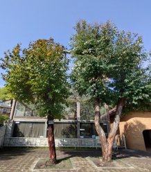 イベント「植物相談員によるボタニカルツアー」のサムネイル画像