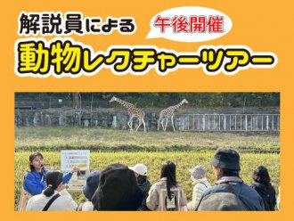イベント「解説員による動物のおはなし（午後）」のサムネイル画像