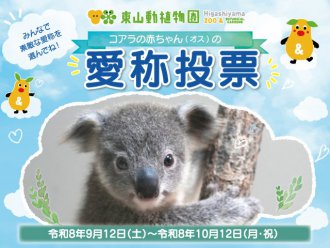 イベント「コアラの赤ちゃんの愛称投票」のサムネイル画像