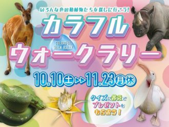 イベント「カラフルウォークラリー」のサムネイル画像