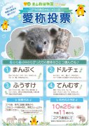 イベント「コアラの仔1頭の愛称投票」のサムネイル画像
