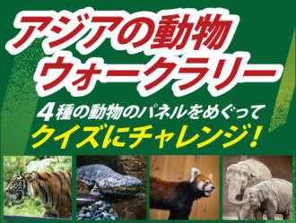 イベント「アジアの動物ウォークラリー」のサムネイル画像