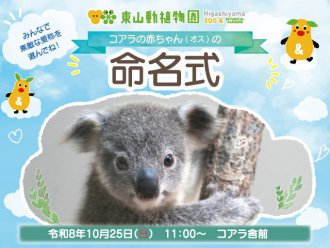 イベント「コアラの赤ちゃん　命名式」のサムネイル画像