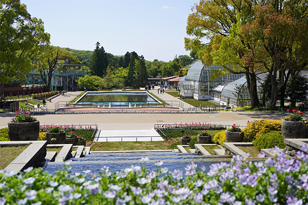 洋風庭園