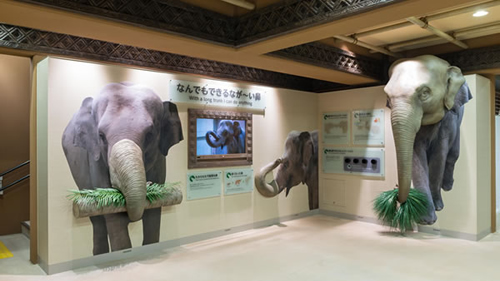 アジアゾウの展示場「ゾージアム」