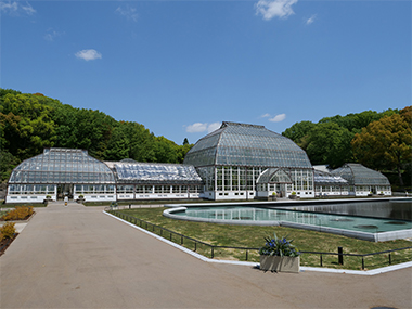 国指定重要文化財温室前館（2021年4月リニューアルオープン）の写真1