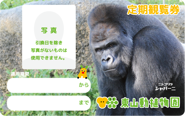 東山動植物園定期観覧券（ゴリラ）イメージ画像