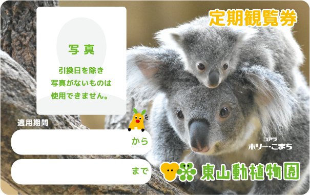 東山動植物園定期観覧券（コアラ）イメージ画像