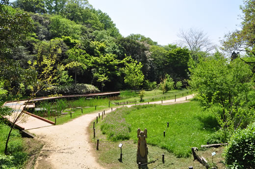 広大な敷地と植物の様子