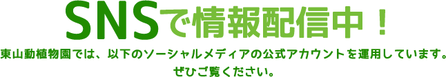 SNSで情報発信中!