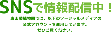 SNSで情報発信中!