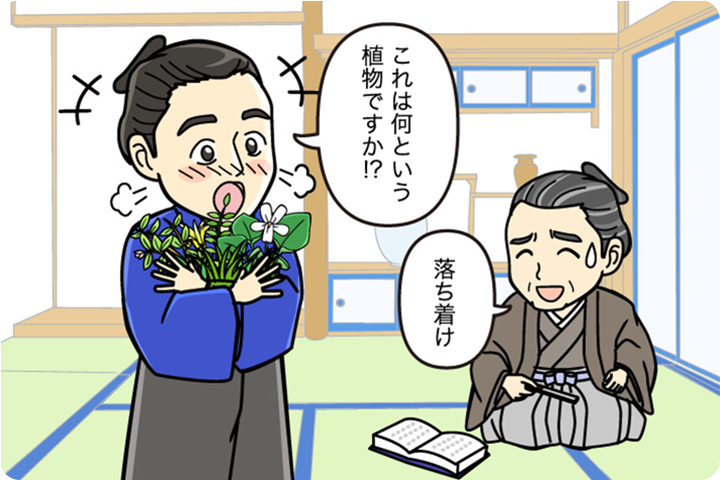 イラスト・写真