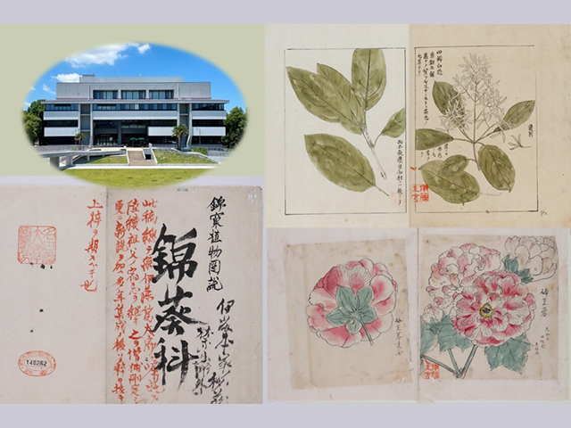 名古屋大学付属図書館