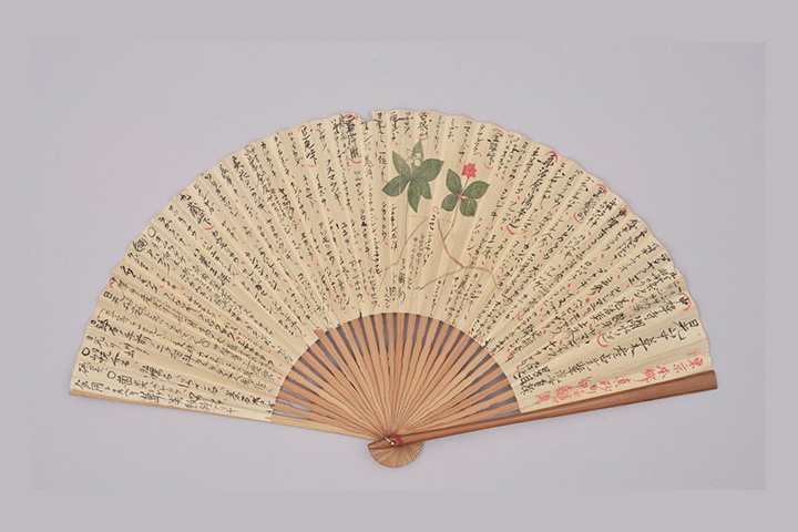 「扇（日光採薬品目録・採薬用心記）」写真