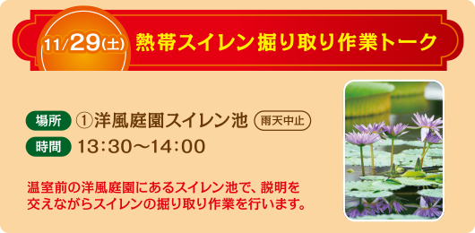 熱帯スイレン掘り取り作業トーク