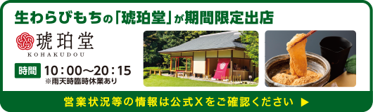 生わらびもちの琥珀堂が特別出店