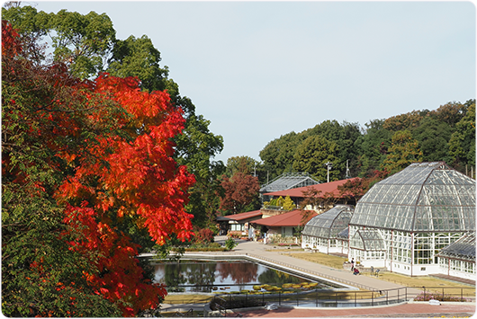 温室・洋風庭園の写真