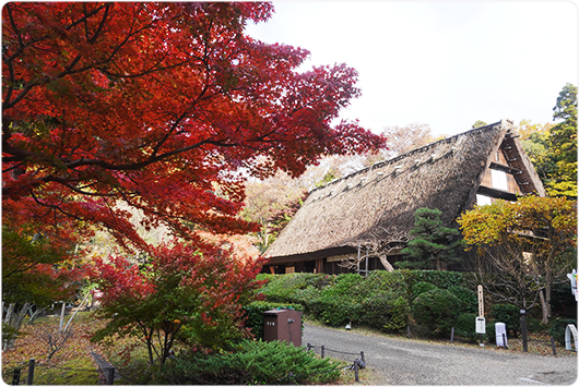 合掌造りの家の写真