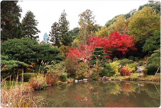 日本庭園の写真