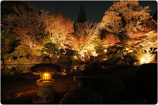 日本庭園の写真