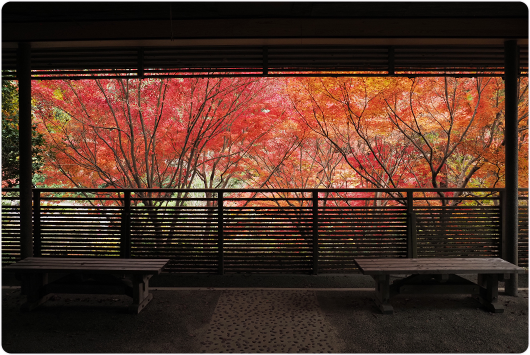 古窯横休憩所の写真