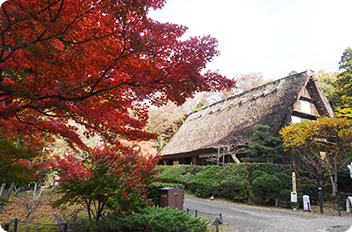 合掌造りの家の写真