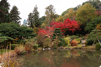 日本庭園の写真