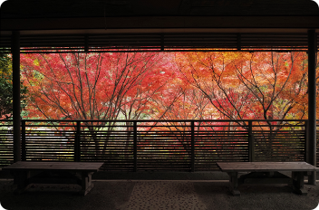 古窯横休憩所の写真