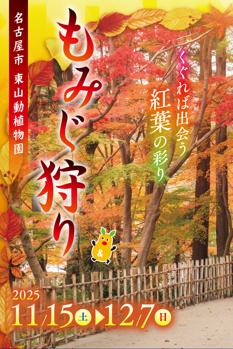 くぐれば出会う紅葉の彩り／名古屋市 東山動植物園「紅葉ライトアップ」 2025年年11月22日(土)、23日(日)、24日(月[休])、29日(土)、30日(日)、12月6日(土)、7日(日) 植物園エリアは夜8:30まで開園、入園は夜8:00まで