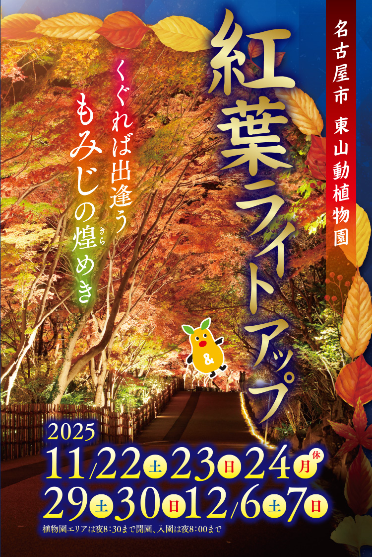 くぐれば出会うもみじの煌めき／名古屋市 東山動植物園「もみじ狩り」2025年11月15日（土）～12月7日（日）